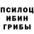 Псилоцибиновые грибы ЛСД Tommy Teesdale