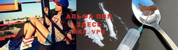 mdpv Снежинск