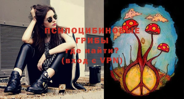 марки lsd Снежногорск