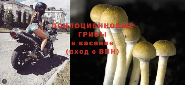 mdpv Снежинск