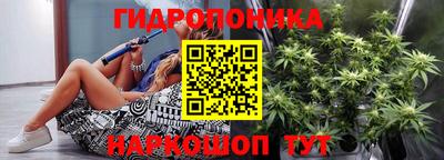 ешки Волгодонск