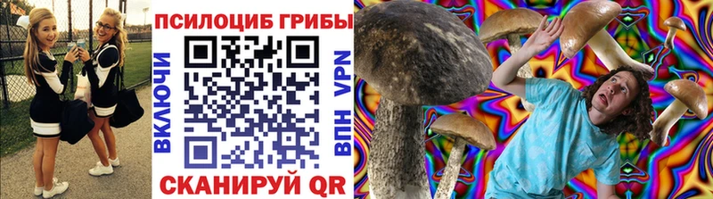 Галлюциногенные грибы мицелий  Кохма 