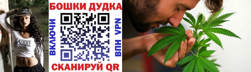 Каннабис SATIVA & INDICA Кохма
